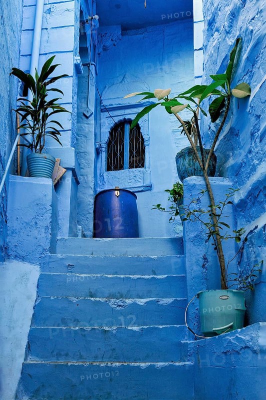 Blue houses in streets of of Jodhpur