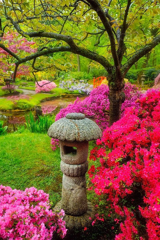 Stone lantern in Japanese garden with blooming flowers in Park Clingendael
