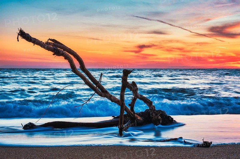 Ld wood trunk snag in water at tropical beach on beautiful sunset