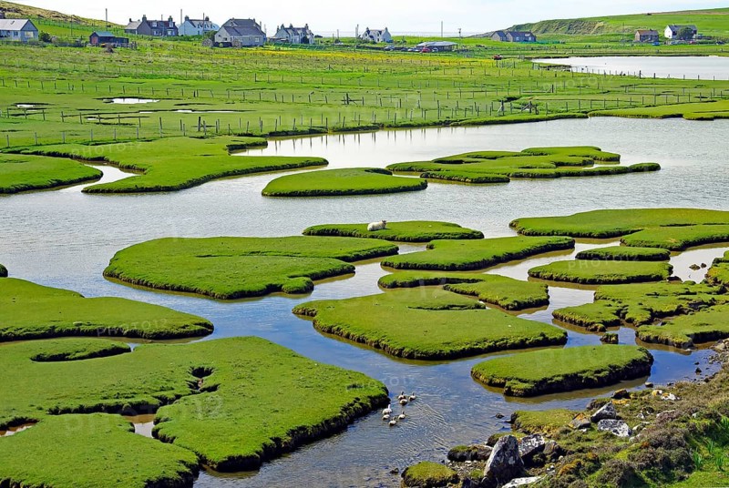 Gezeitenlandschaft mit Grasinseln und Wasserarmen