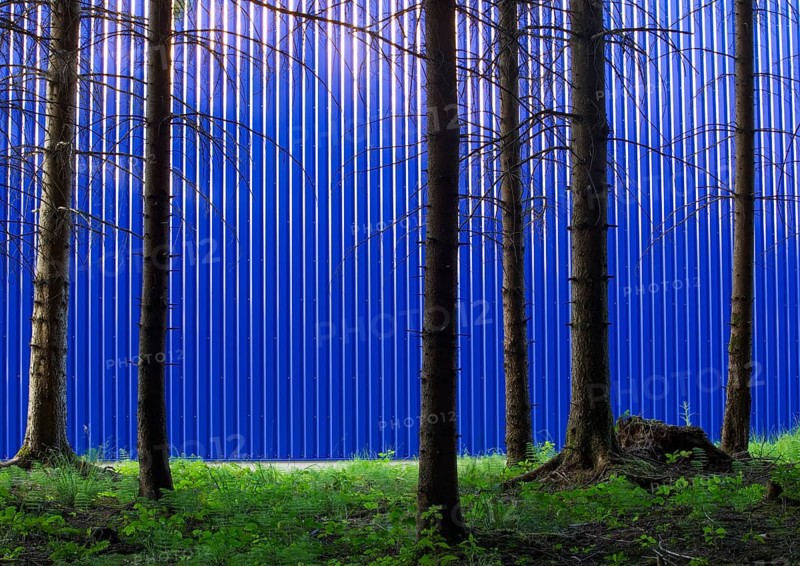 Blick durch den Wald auf eine Fassade einer blauen Fabrikshalle