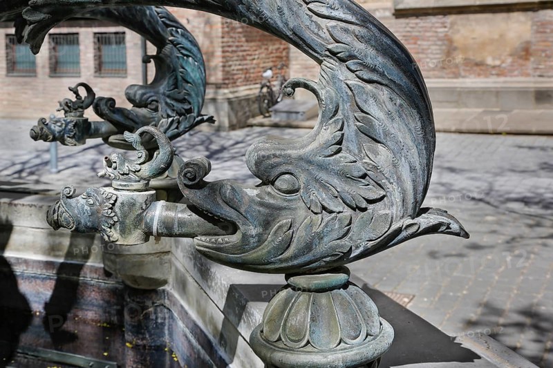Dolphin fountain on Muensterplatz by Wolfgang Neithard