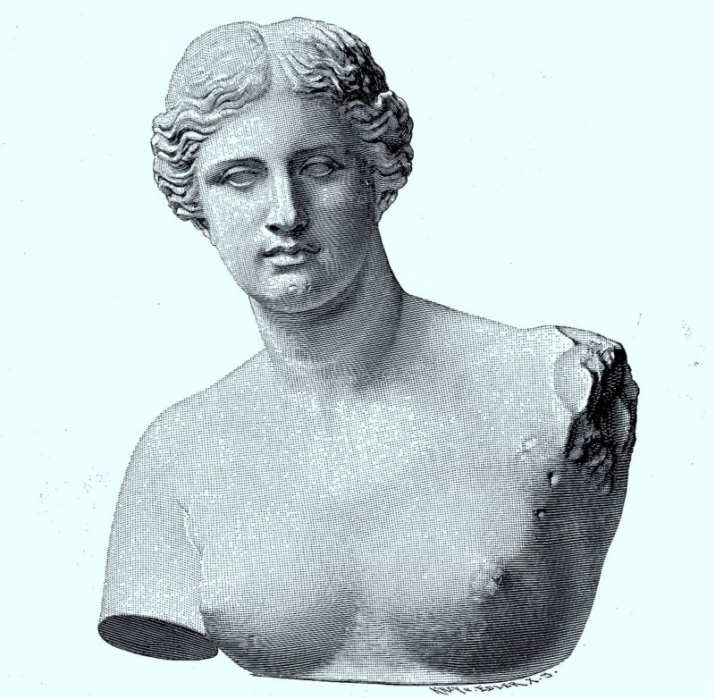 Die Venus von Milo
