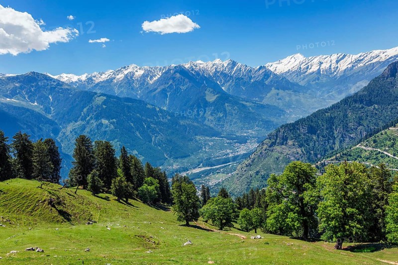 Spring meadow in Kullu valley in Himalaya mountains