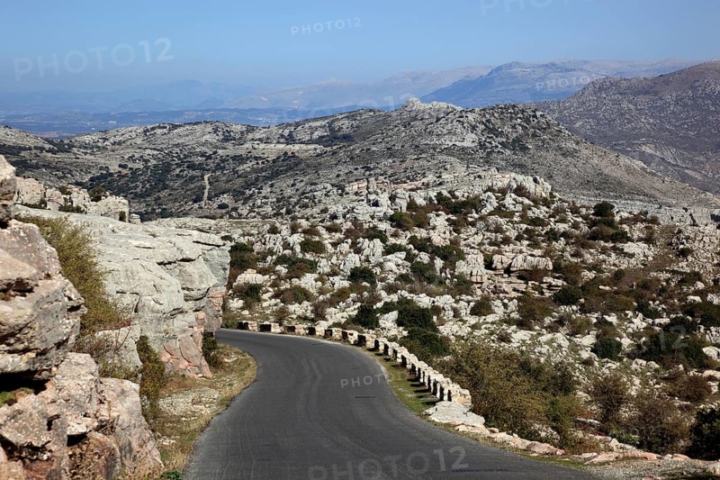 Road in El Torca National Park