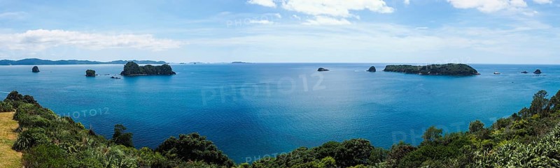 Coast at Cathedral Cove Walk