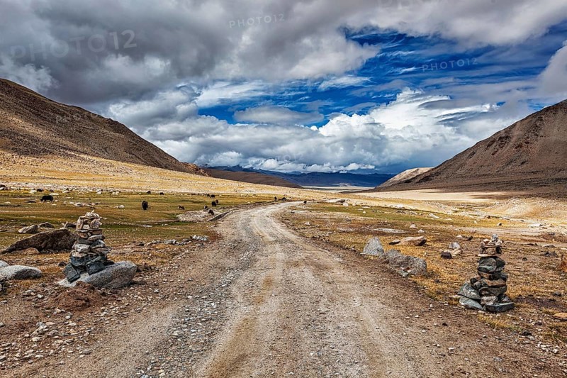 Road in Himalayas marked with stone cairns. Ladakh