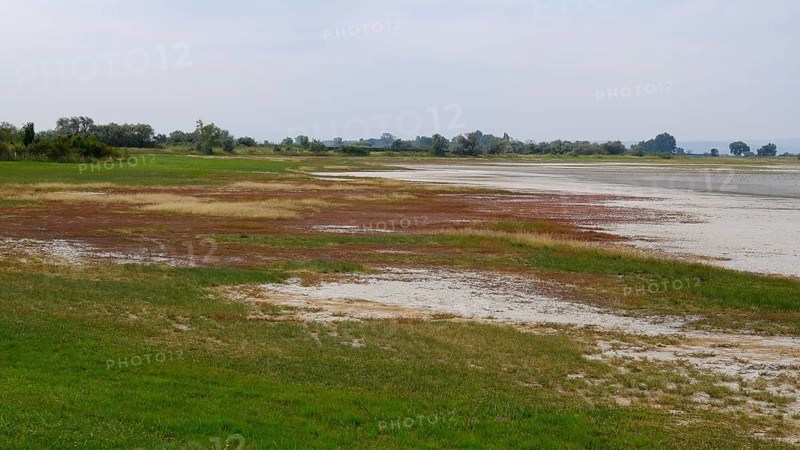 Dried-up salt puddle in late summer