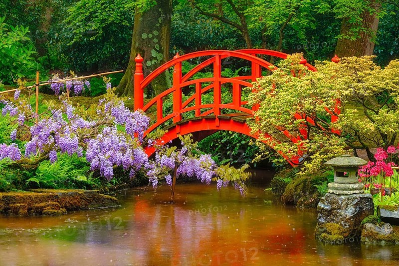 Small bridge in Japanese garden