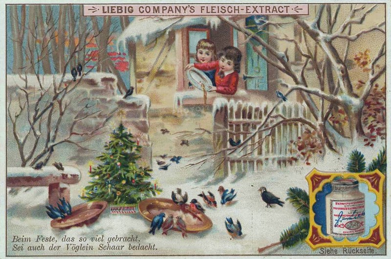 Series of Christmas dreams and mishaps