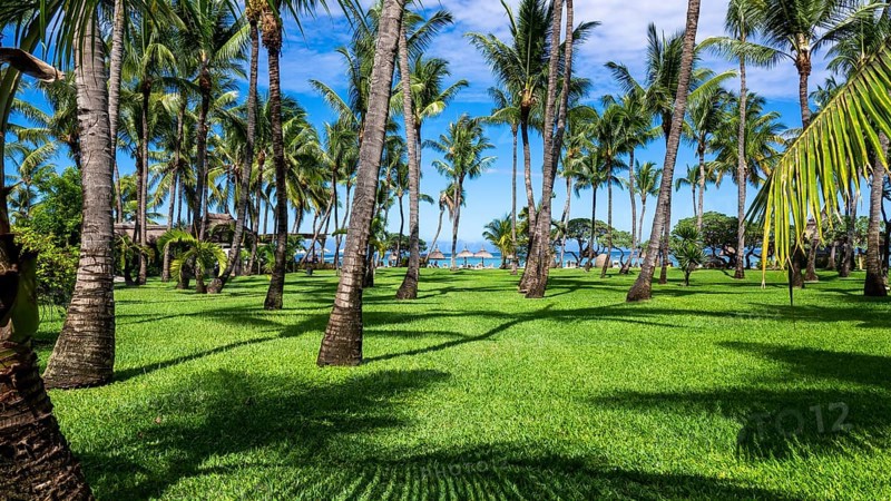 Luxushotel La Pirogue Resort & Spa mit tropische Hotelanlage