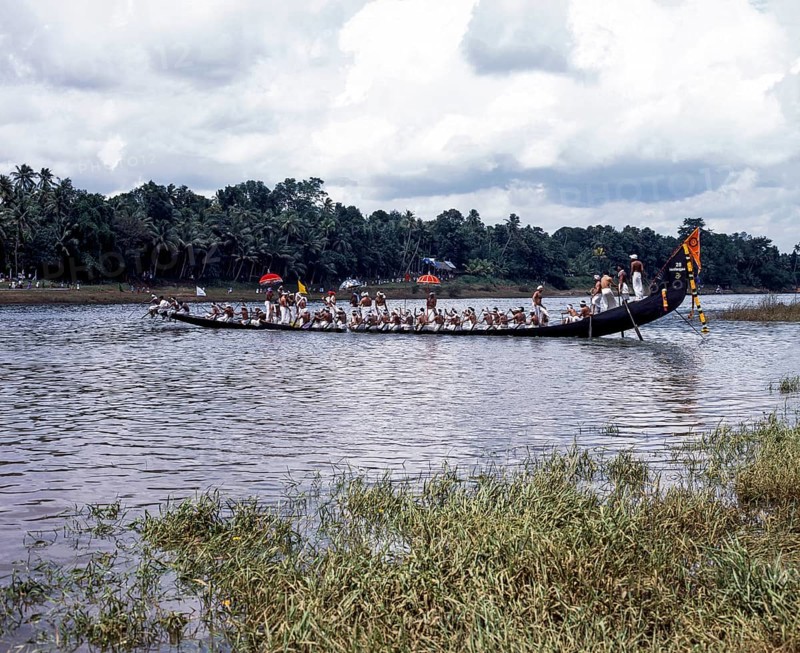 Vallamkali or boat racing in Aranmula