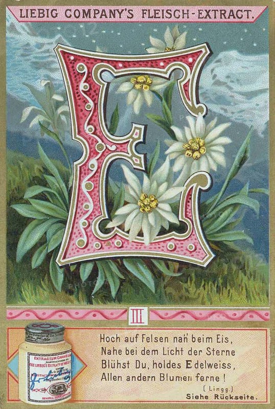 Picture series Letters and Plants