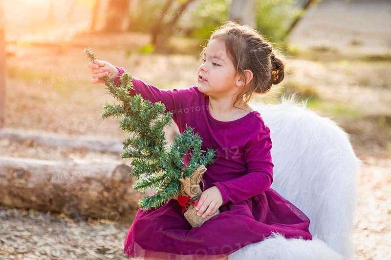 Cute mixed-race young baby girl holding small christmas tree outdoors