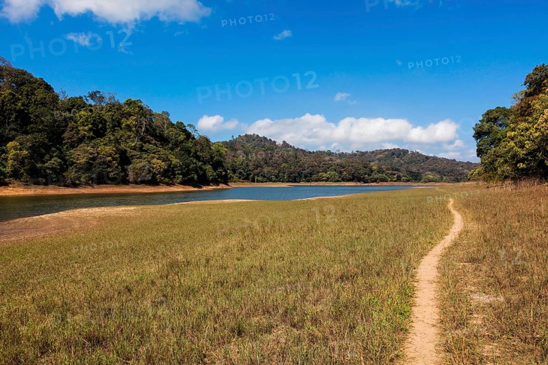 Periyar lake in Periyar wildlife sanctuary