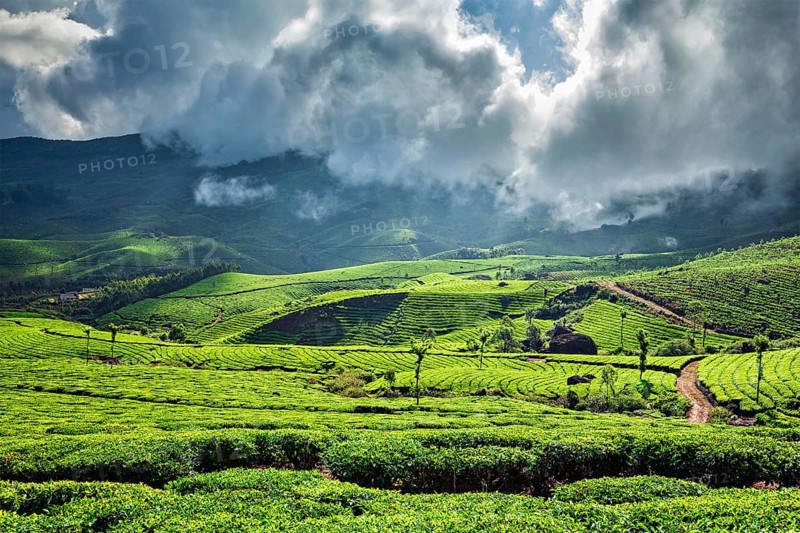 Kerala India travel background