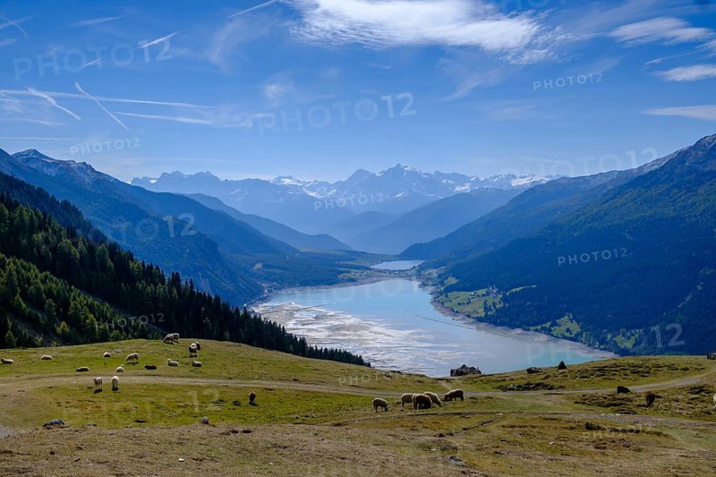 Viewpoint of Lake Reschen and the Ortler Group from the Plamort plateau