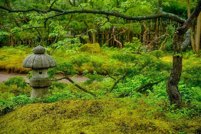 Stone lantern in Japanese garden