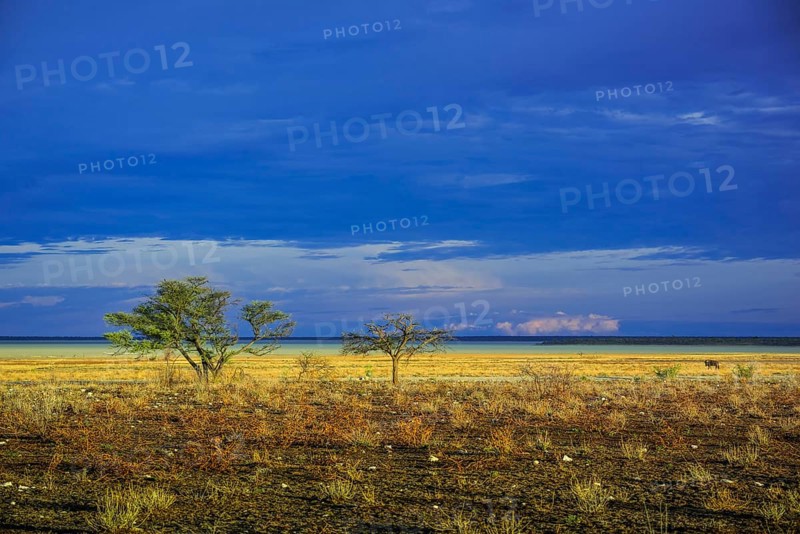 Landscape at the edge of the salt pan in the morning light