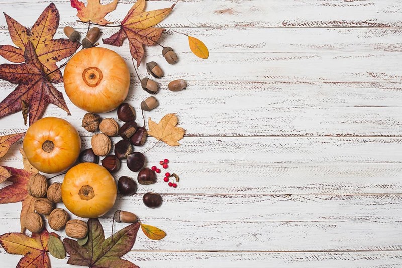 Autumn leaves vegetables with copy space