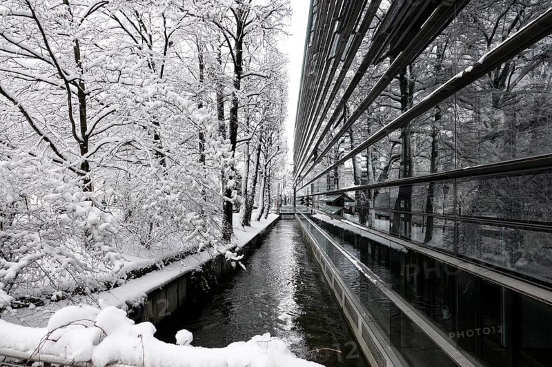 Glass facade of the Max Planck Institute for Innovation and Competition on Hofgartenstrasse