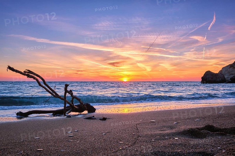 wood trunk snag in water at tropical beach on beautiful sunset