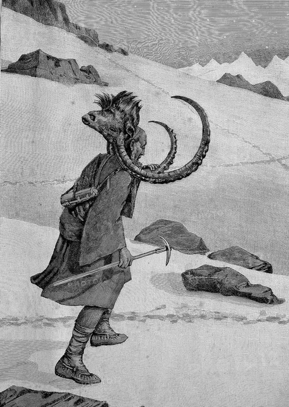 Ibex hunting