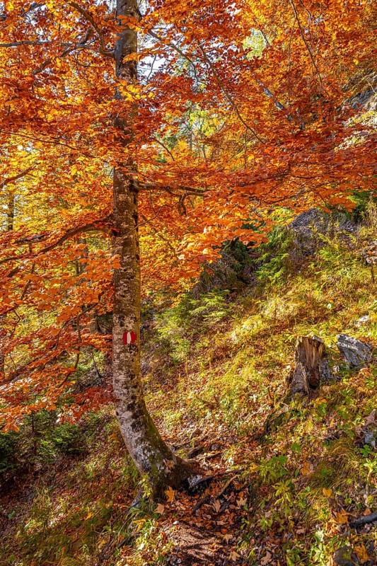 Hiking trail