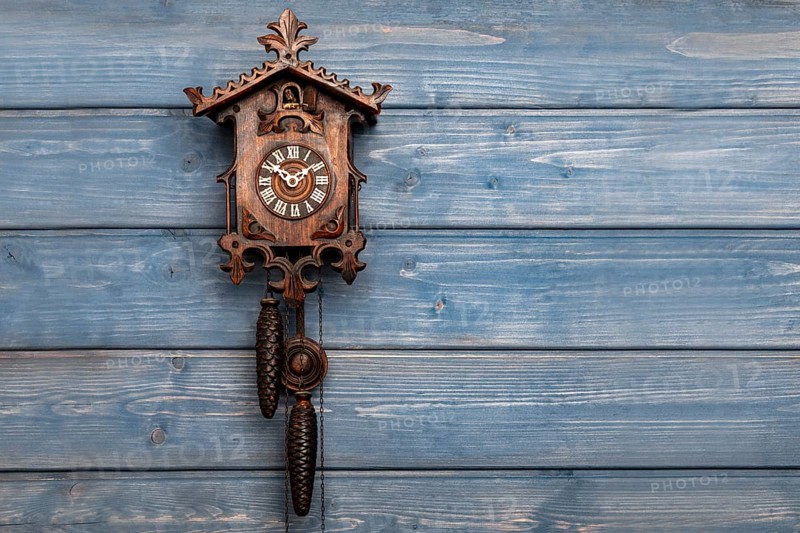 Antique Black Forest cuckoo clock in front of blue wooden wall