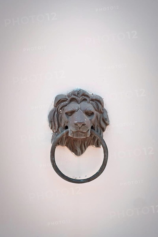 Classic lion head door knob