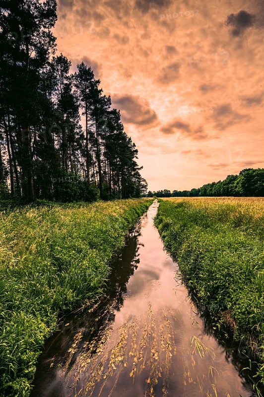 Long exposure of the river Wietze in Langenhagen in the region of Hannover