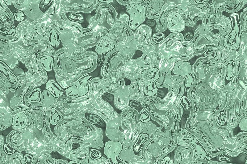 Shape of bacterial cell: cocci