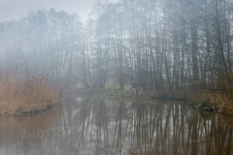 back water of the Ems