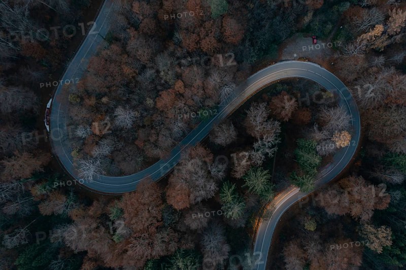 Double curve in the forest from above in the evening with slight light pulls