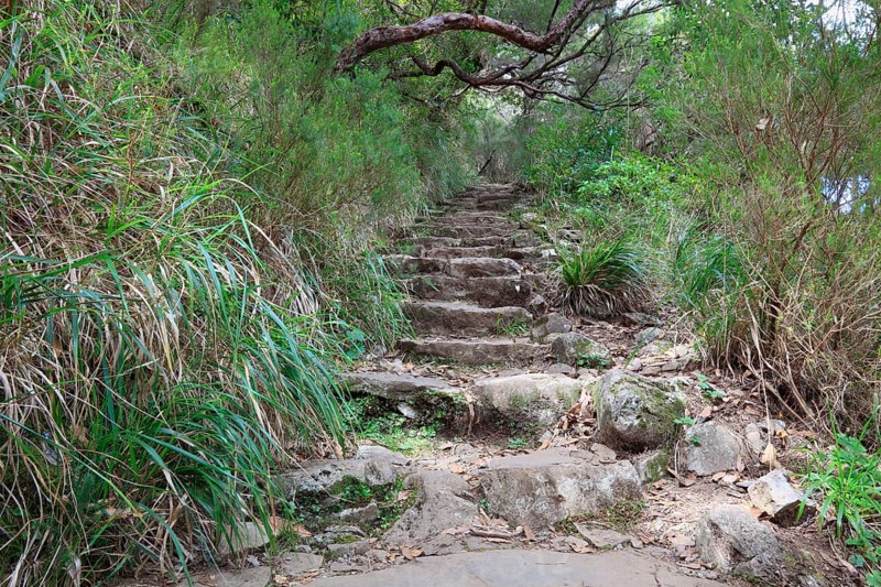 Hiking trail