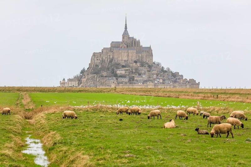 Island Mont Saint-Michel in the bay of Mont-Saint-Michel in the Wadden Sea