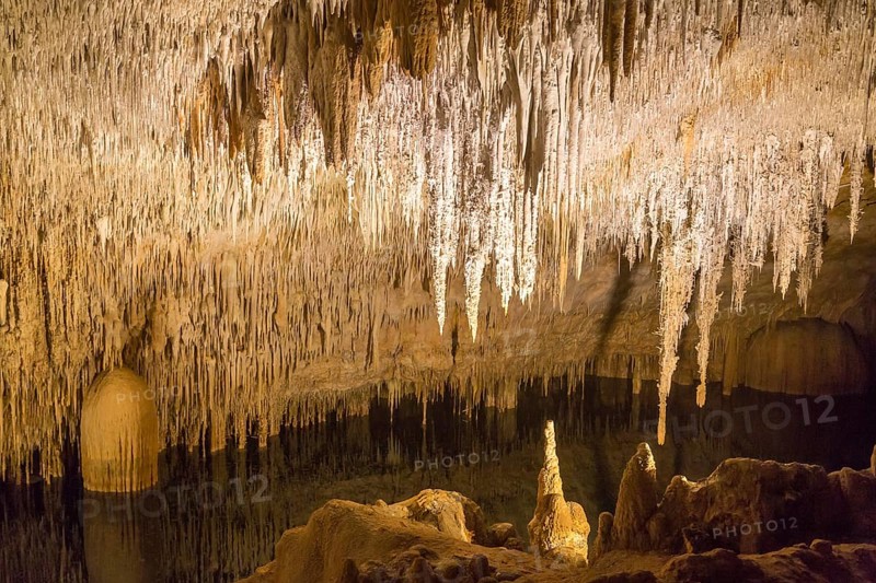 Coves del Drac