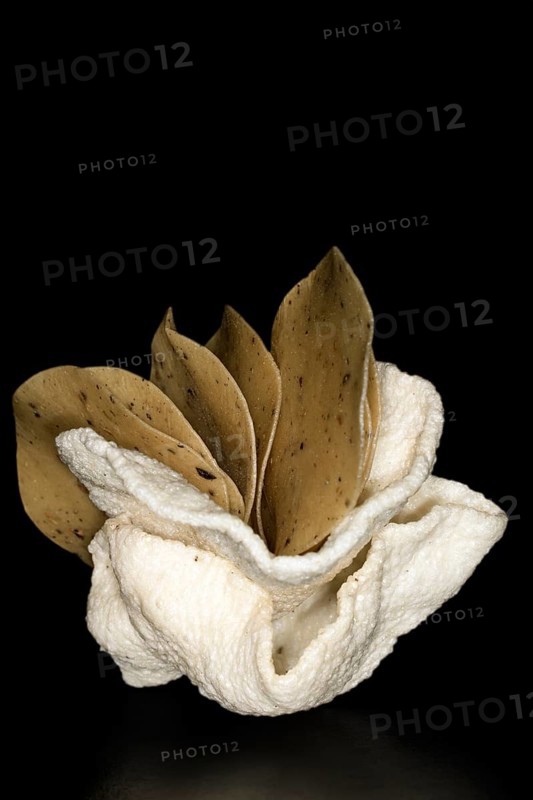 Raw and fried rice crackers