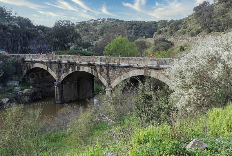 Roemische Bruecke im Monfrague Nationalpark