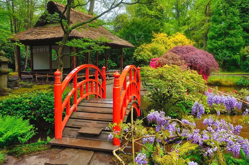 Small bridge in Japanese garden