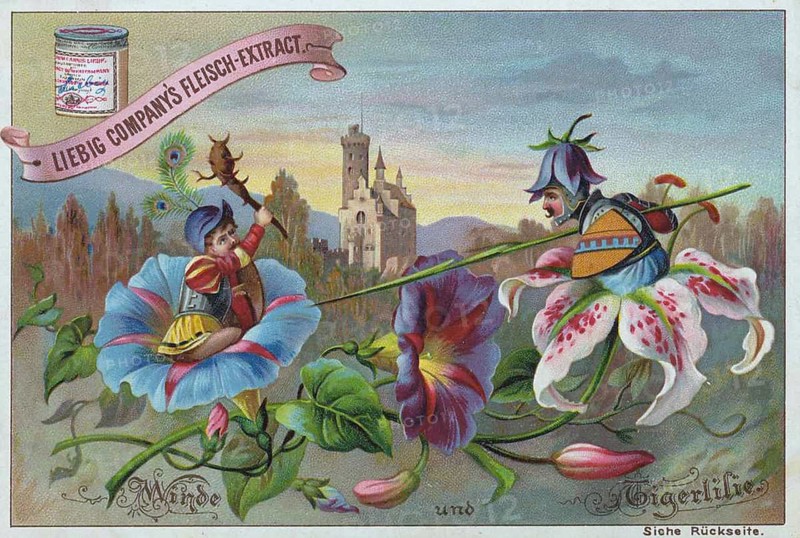 Series Flowers and Legends