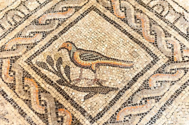 Archaeology