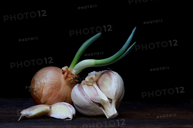 Sprouting common onion