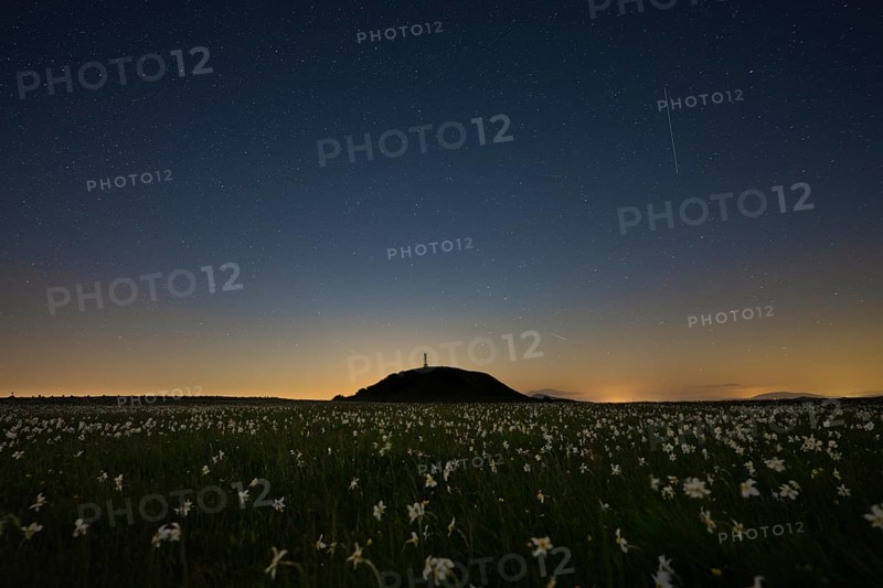 Blooming on mount Petrano by night