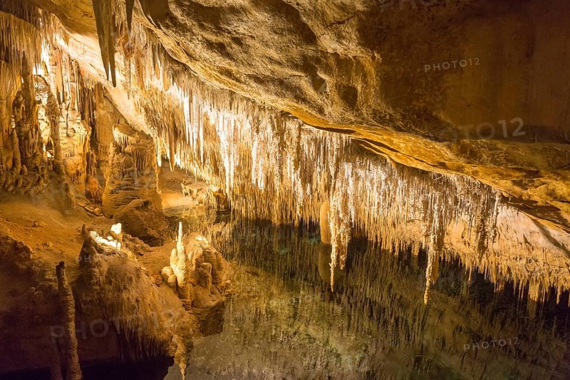 Coves del Drac