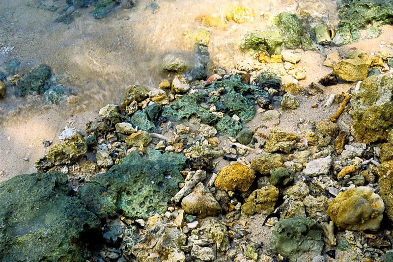 Colourful rocks and stones on the beach in Havelock island
