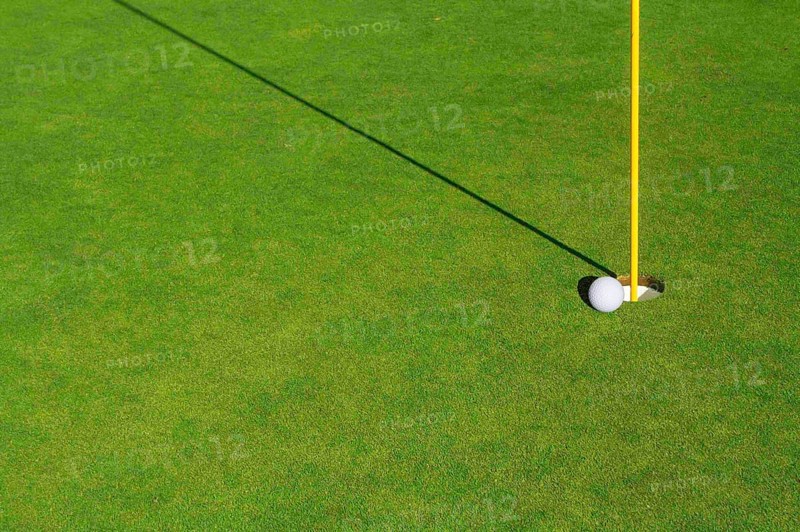 Close-up of golf course green