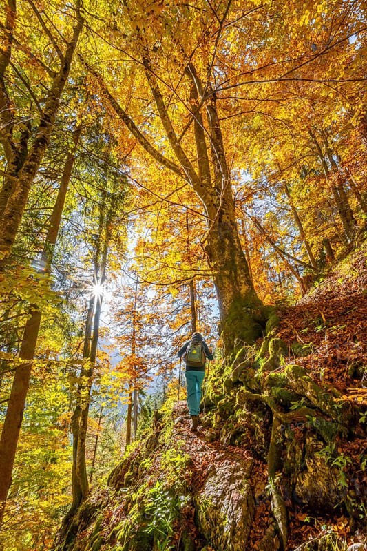 Woman on hiking trail