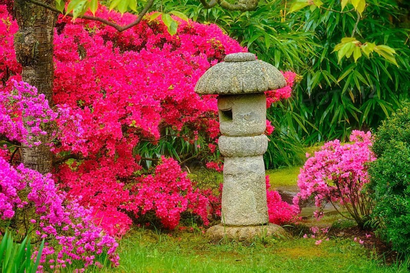 Stone lantern in Japanese garden with blooming flowers in Park Clingendael