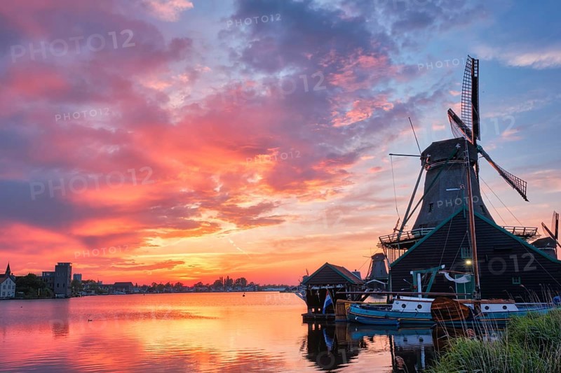 Netherlands rural scene